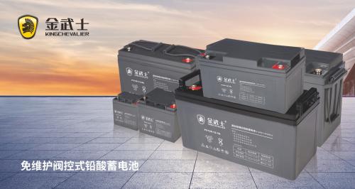 儲能2025，央國企軍團領航行動